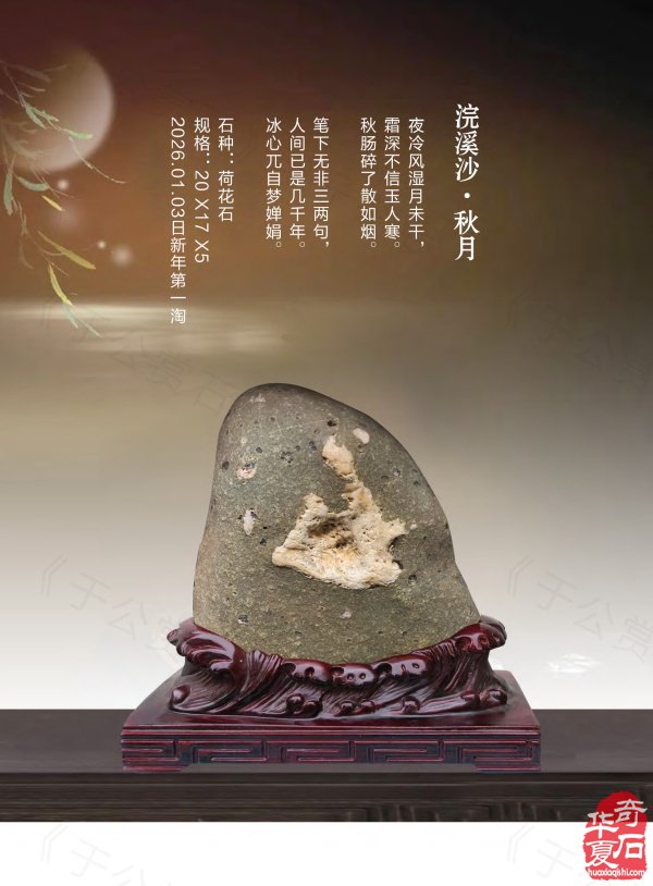 《于公赏石》奏响黄河奇石第一晨钟