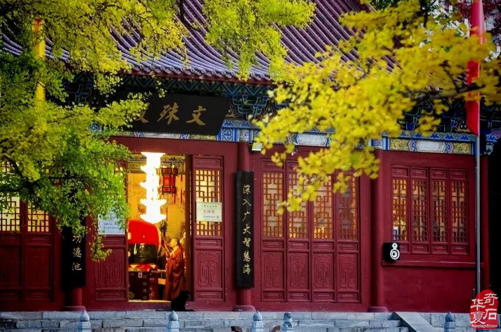 鲁山县文博园首届大集地摊淘宝3月7日隆重启幕