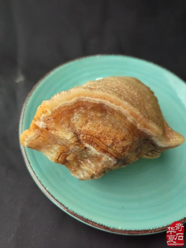 鲁山县文博园首届大集地摊淘宝3月7日隆重启幕