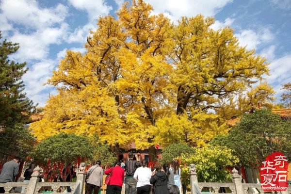 洛阳石界3月7日鲁山文博园地摊大集淘宝