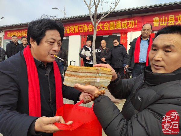 鲁山文博园肉形石在石界火爆销售