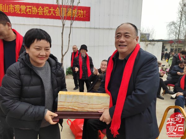 鲁山文博园肉形石在石界火爆销售