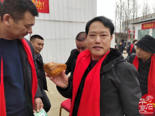 鲁山文博园肉形石在石界火爆销售