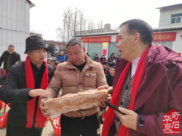 鲁山文博园肉形石在石界火爆销售