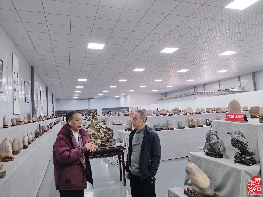 洛阳石展倒计时二十天 我们共赴盛宴