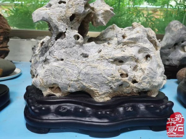 为人忠厚谦和待人真诚坦荡的饶建东