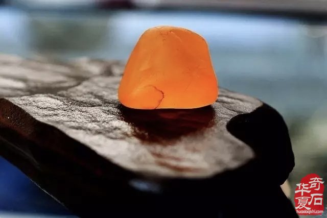 自从玩了金丝玉 视金丝玉为最爱了 