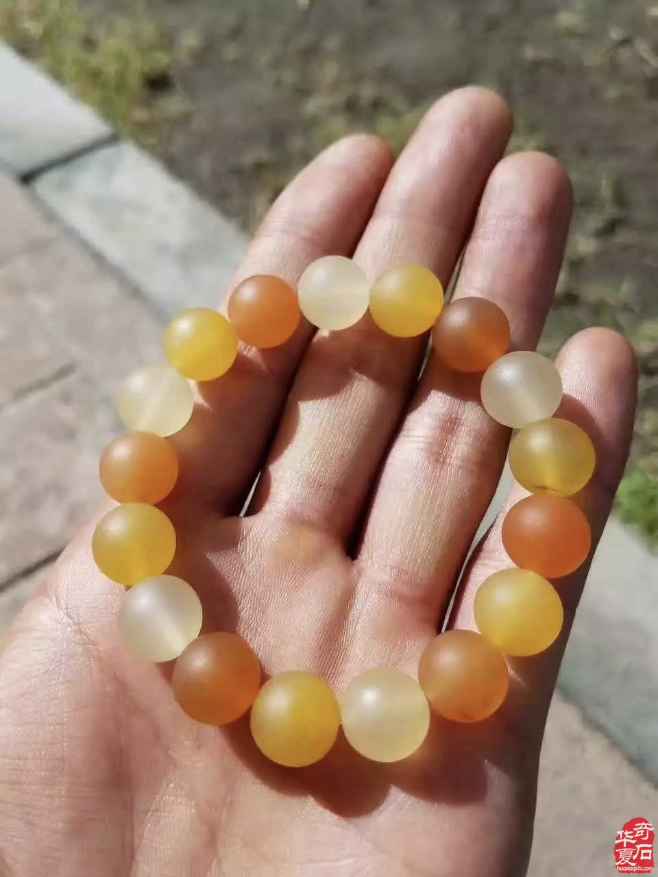 自从玩了金丝玉 视金丝玉为最爱了 