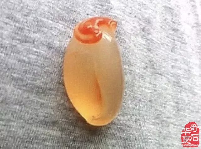 自从玩了金丝玉 视金丝玉为最爱了 