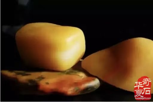 自从玩了金丝玉 视金丝玉为最爱了 