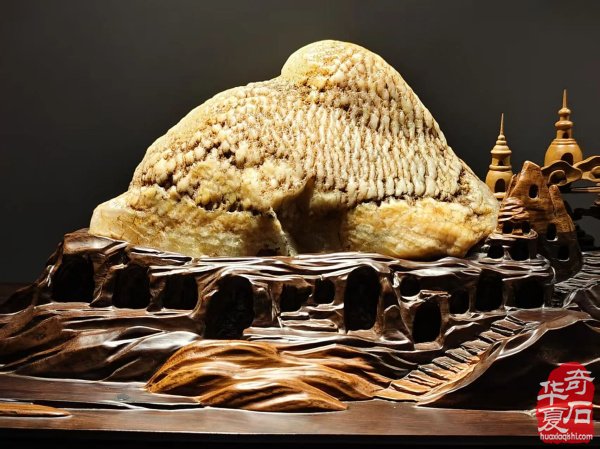 中国·忻州首届观赏石文化旅游博览会