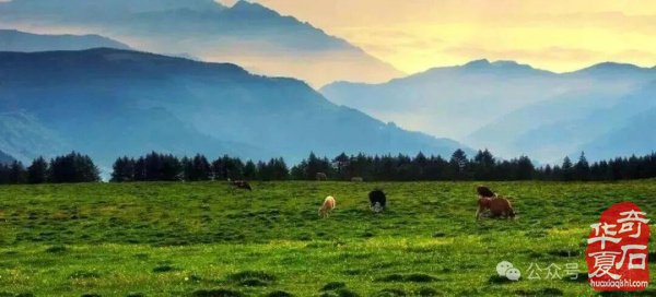 中国·忻州首届观赏石文化旅游博览会