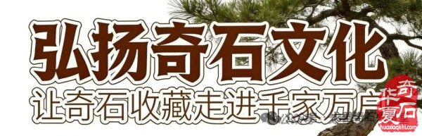 石展快讯:2026黄山石博会5月10日将盛大启幕!