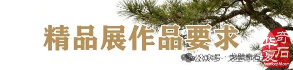 石展快讯：2026黄山石博会5月10日将盛大启幕！