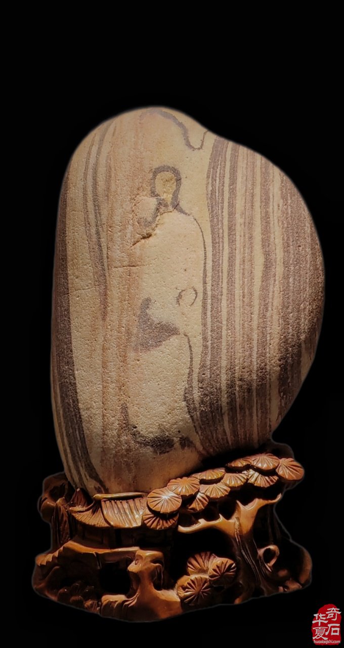裹着高士的闲逸4月1日逛逛洛阳石展