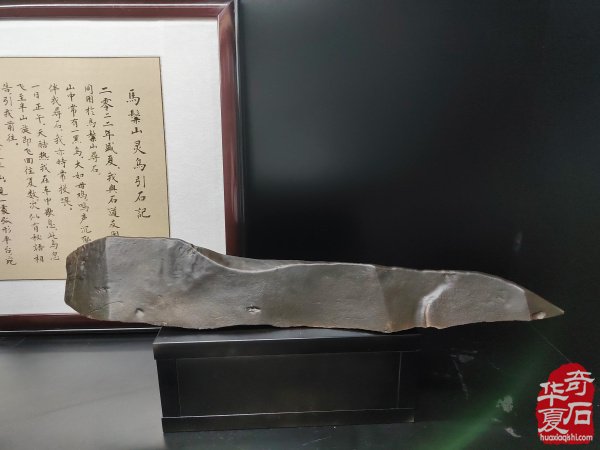 洛阳藏家与马鬃山黑碧玉的生死石缘