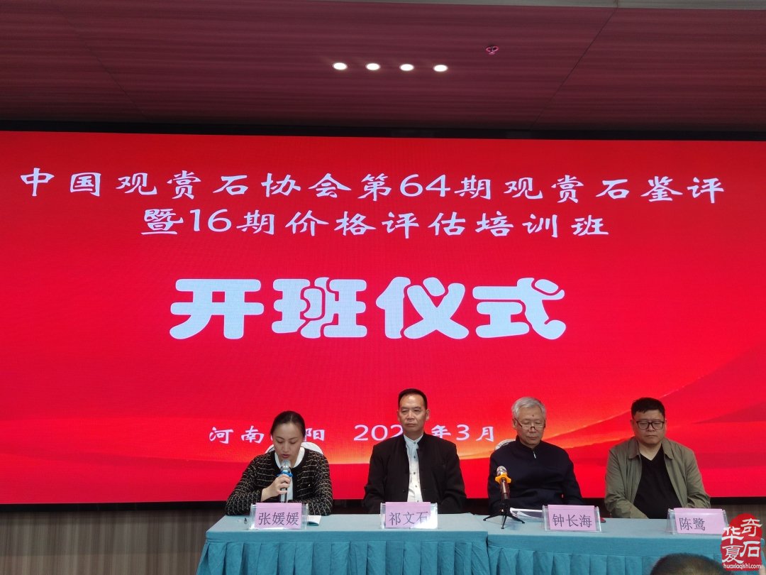 赏石文化薪火传 洛阳培训筑根基