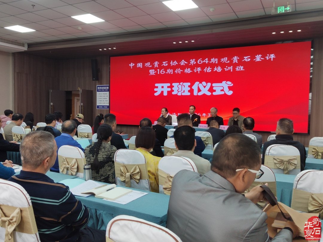 赏石文化薪火传 洛阳培训筑根基