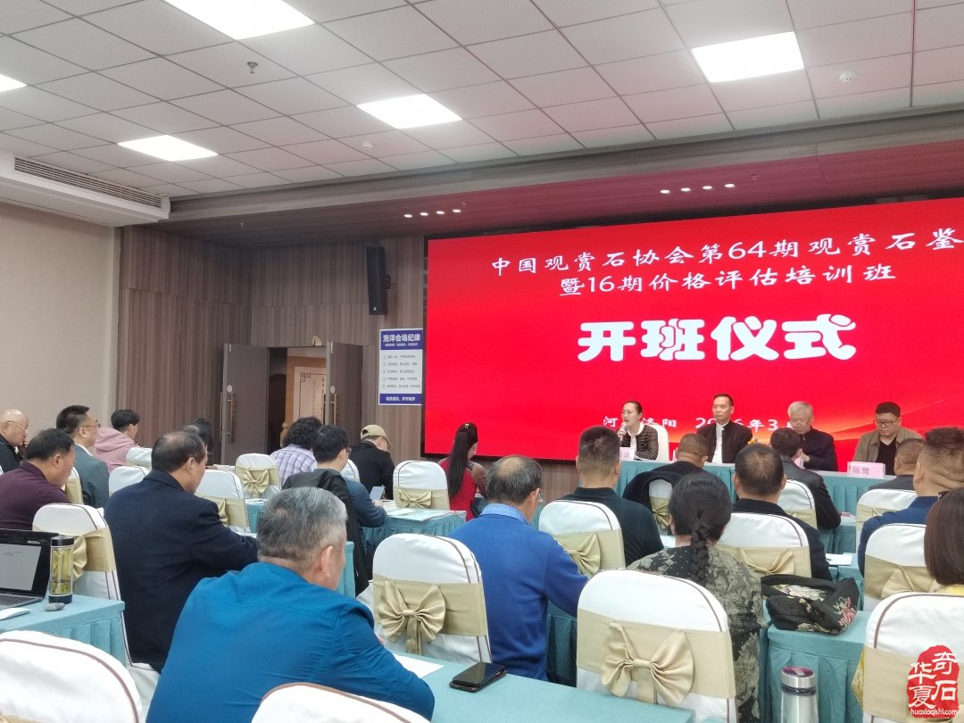 赏石文化薪火传 洛阳培训筑根基