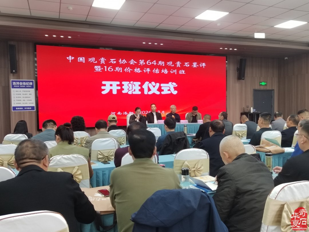 赏石文化薪火传 洛阳培训筑根基