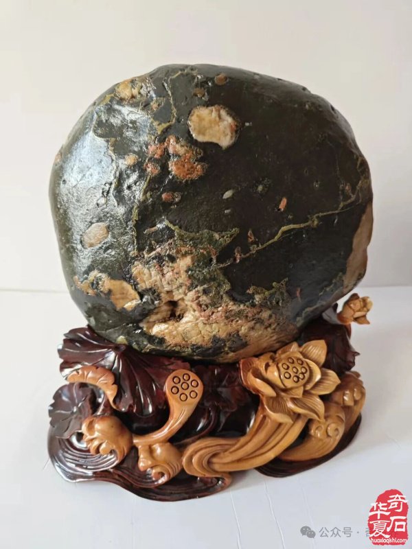 精品荷花石有多美:直击心灵深处的生命绽放,画家看了也啧啧称奇