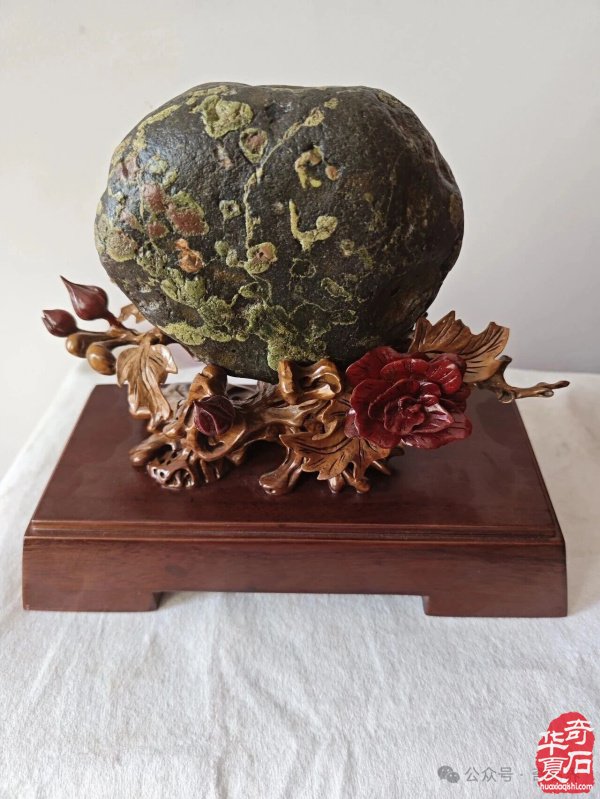 精品荷花石有多美:直击心灵深处的生命绽放,画家看了也啧啧称奇