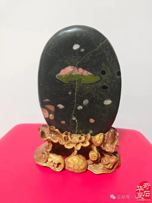 精品荷花石有多美:直击心灵深处的生命绽放,画家看了也啧啧称奇