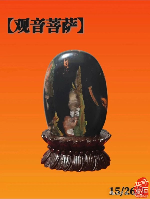 精品荷花石有多美:直击心灵深处的生命绽放,画家看了也啧啧称奇