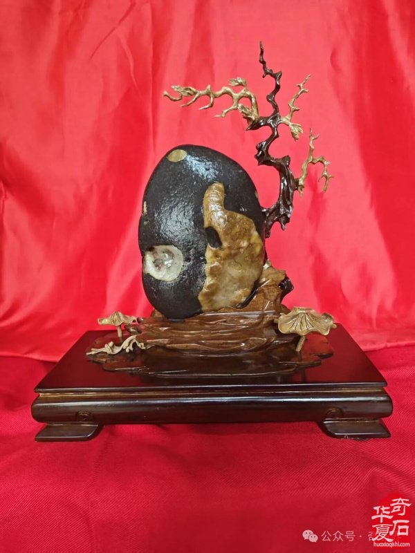 精品荷花石有多美:直击心灵深处的生命绽放,画家看了也啧啧称奇