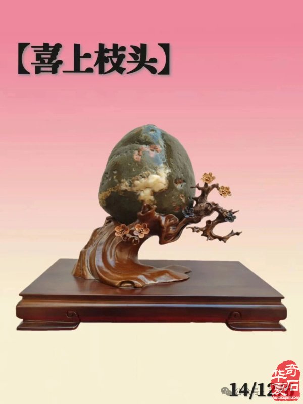 精品荷花石有多美:直击心灵深处的生命绽放,画家看了也啧啧称奇