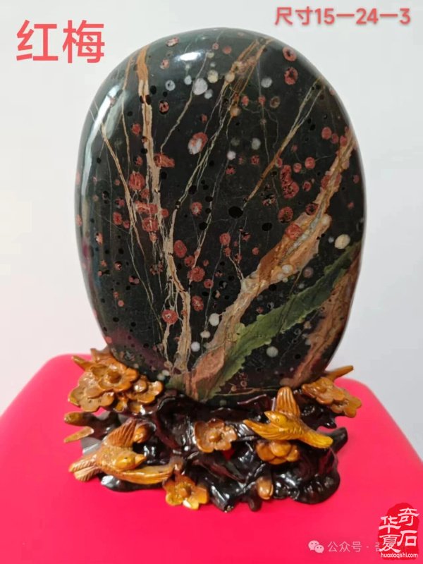 精品荷花石有多美:直击心灵深处的生命绽放,画家看了也啧啧称奇