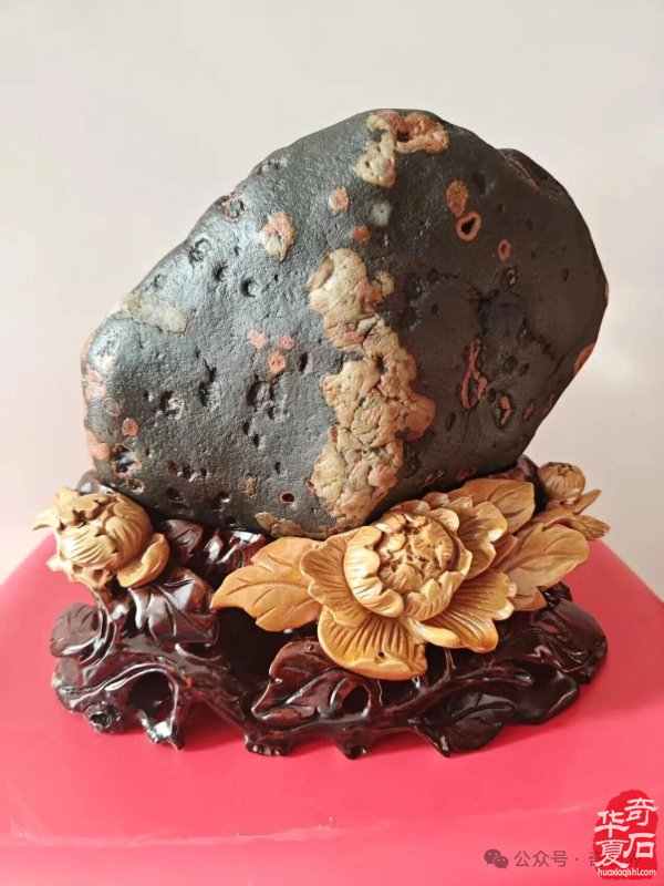 精品荷花石有多美:直击心灵深处的生命绽放,画家看了也啧啧称奇
