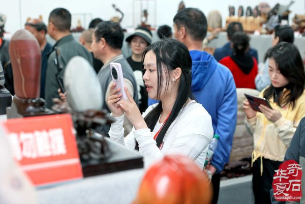 中石协天雕艺术入围作品遴选展、中国洛阳第三十四届“愚公灵琢杯”国际赏石文化艺术展暨交易会盛大启幕