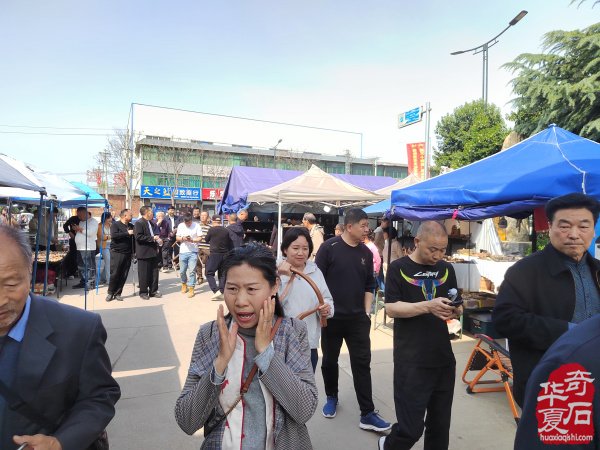 河南省赏石协会年会