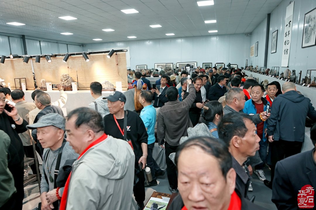 洛阳亲友如相问，一片冰心在玉壶-----参加中国洛阳第三十四届赏石文化艺术展有感