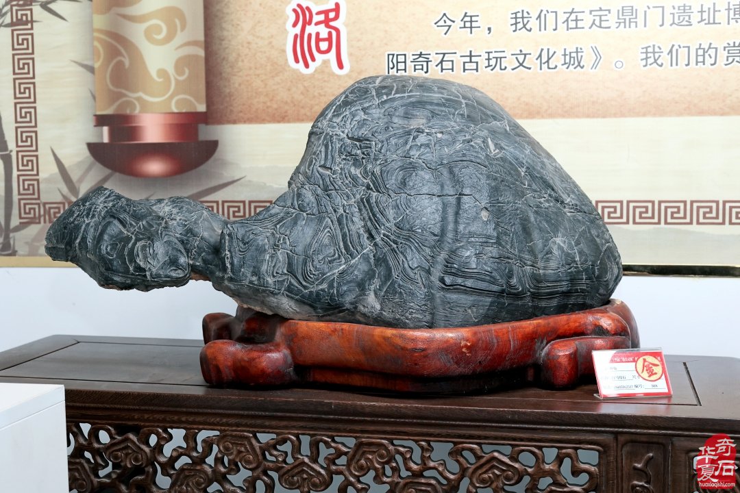 洛阳亲友如相问，一片冰心在玉壶-----参加中国洛阳第三十四届赏石文化艺术展有感