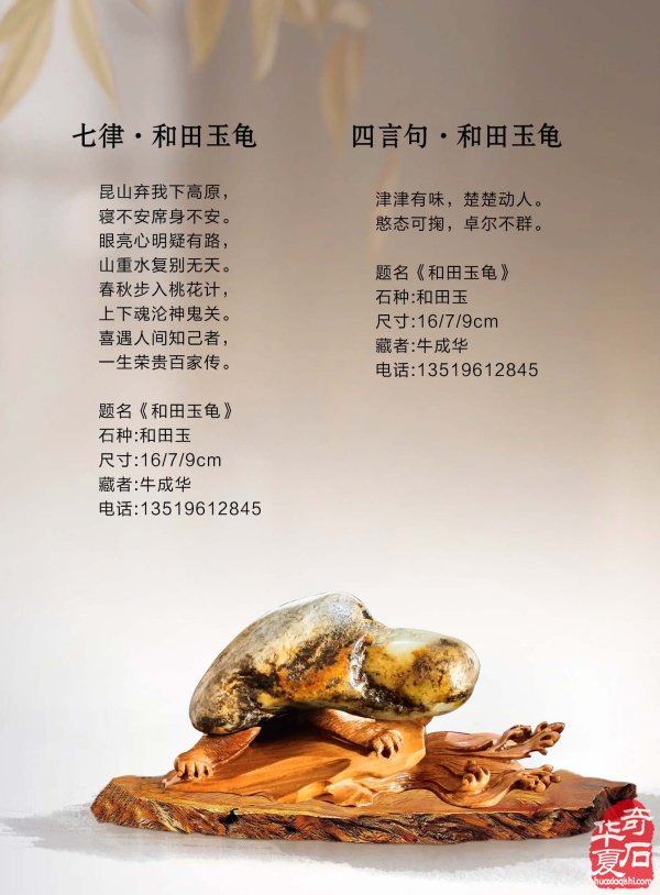 新的一期《于公赏石》杂志上线啦