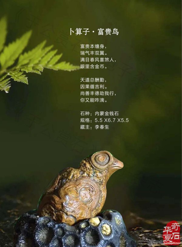 新的一期《于公赏石》杂志上线啦