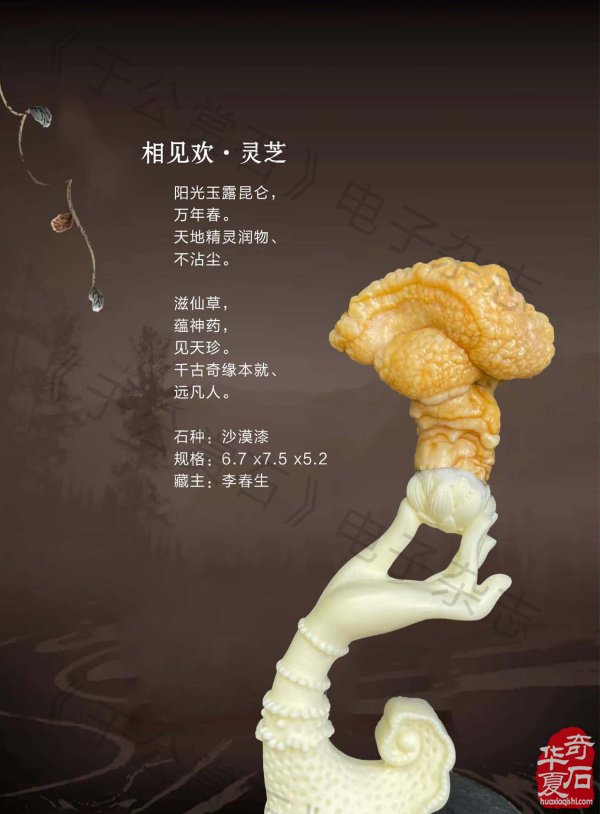 新的一期《于公赏石》杂志上线啦