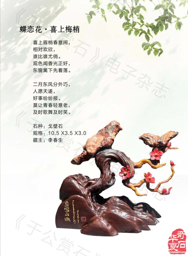 新的一期《于公赏石》杂志上线啦