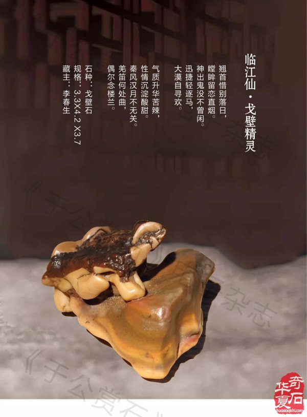 新的一期《于公赏石》杂志上线啦