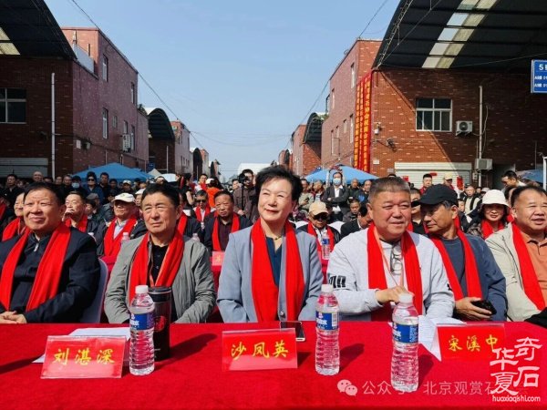 洛阳“愚公灵琢杯”国际赏石文化艺术展盛大开幕