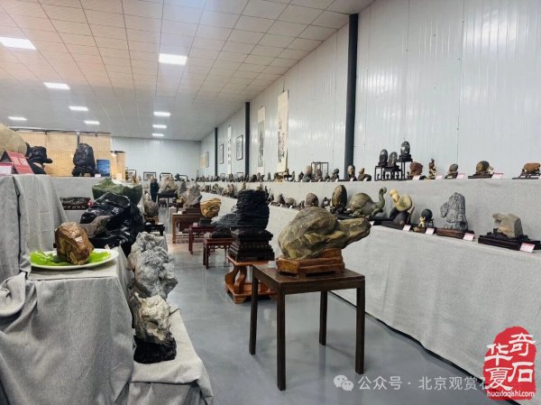 洛阳“愚公灵琢杯”国际赏石文化艺术展盛大开幕