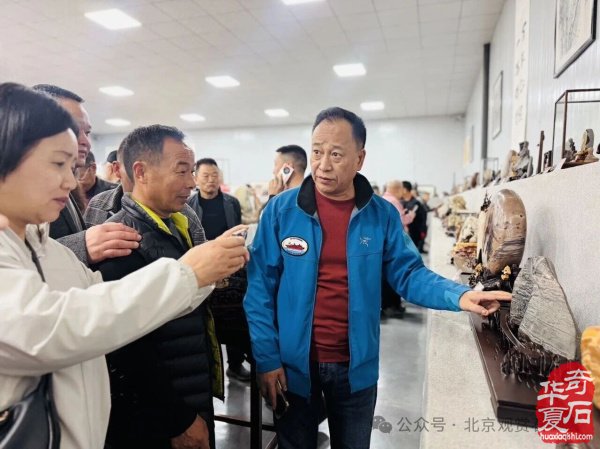 洛阳“愚公灵琢杯”国际赏石文化艺术展盛大开幕
