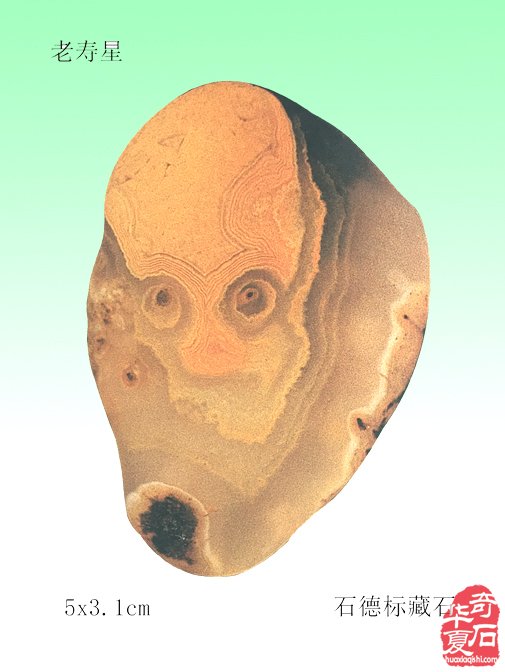 玩石养性 健康随行