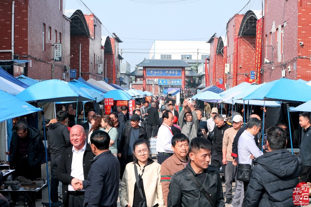中国洛阳第三十四届 “愚公灵琢杯” 国际赏石文化艺术展圆满落幕