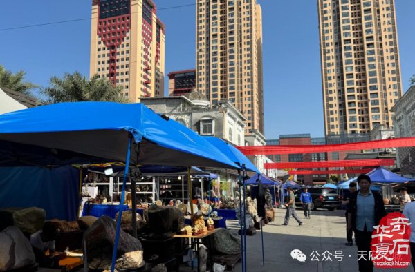 第25届中国（成都）国际赏石文化博览会即将隆重开幕