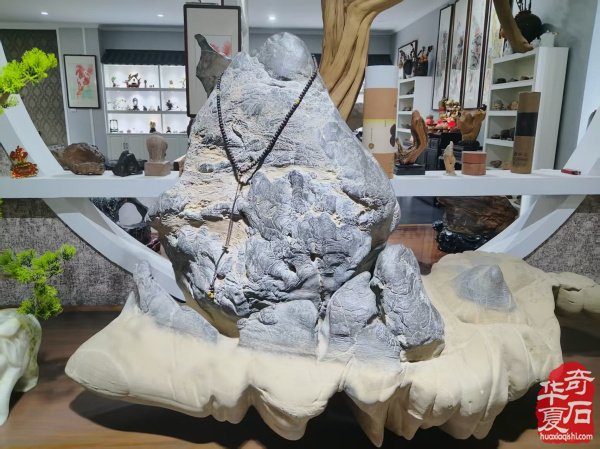 参加淮南石博会顺访王吉清石馆