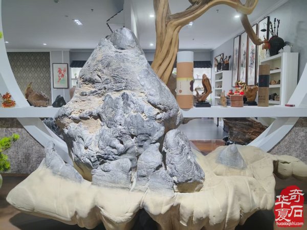 参加淮南石博会顺访王吉清石馆