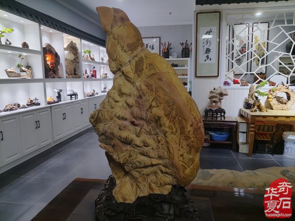 参加淮南石博会顺访王吉清石馆